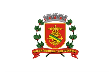 Bandeira de Santos - vistoria veicular em Santos
