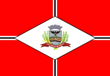 Bandeira de São José do Rio Preto - vistoria veicular em São José do Rio Preto