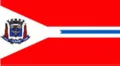 Bandeira de Suzano - vistoria veicular em Suzano